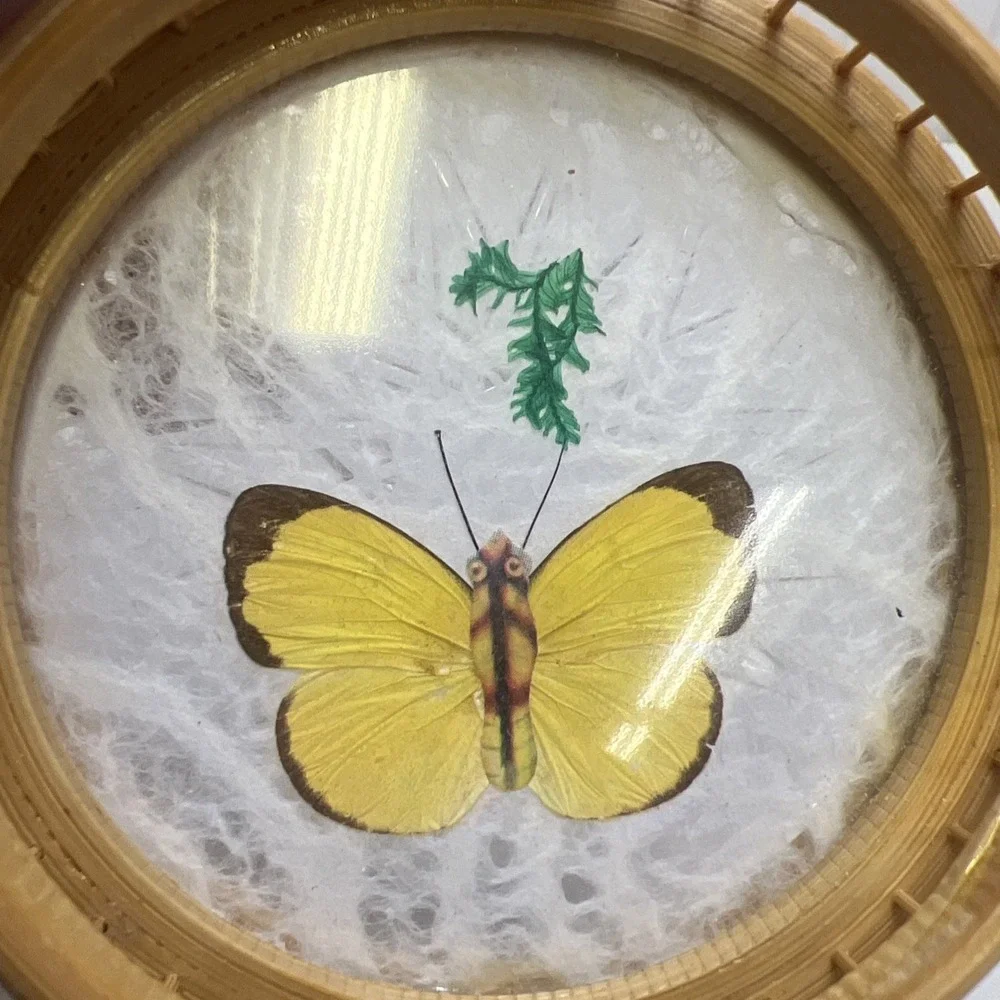 Set Of 2 Vintage Bamboo Acrylic Coaster w/ Real Pressed Butterfly